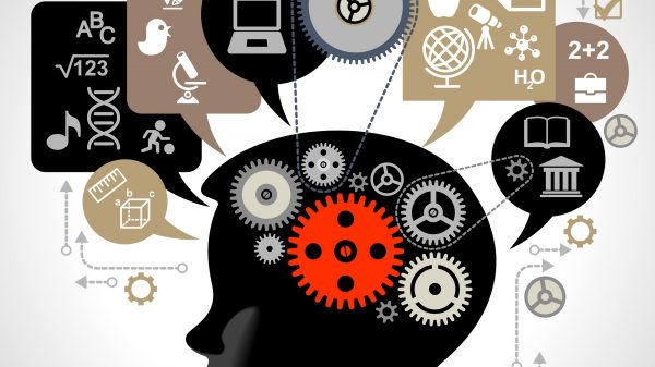 private-tuition-ashford